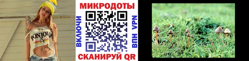 Псилоцибиновые грибы GOLDEN TEACHER даркнет телеграм Раменское