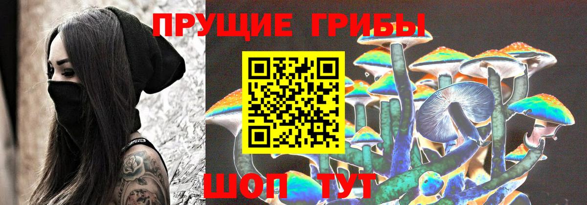 Псилоцибиновые грибы Cubensis  Вход с VPN  Галлюциногенные грибы Psilocybe  Раменское 